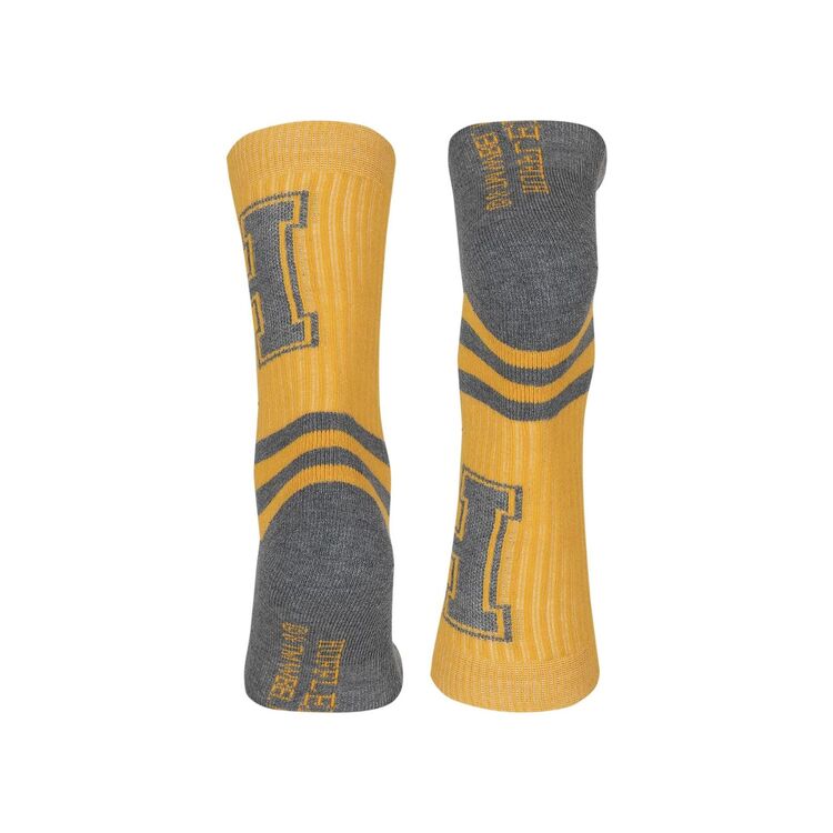 Product Harry Potter Hufflepuff Striped Adults Socks image