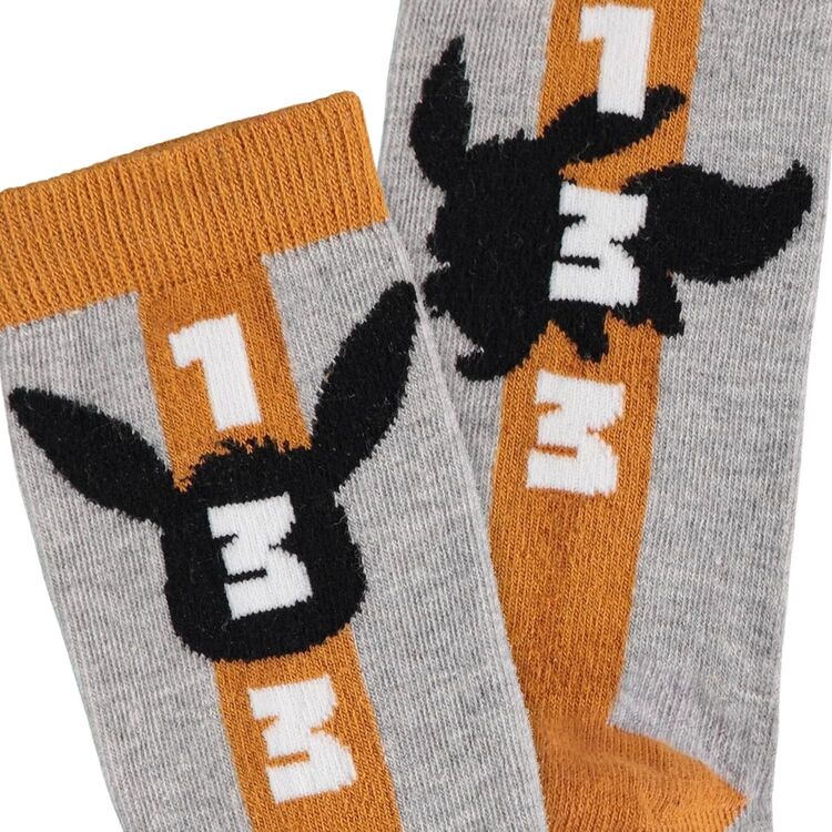 Product Κάλτσες Pokemon Eevee image