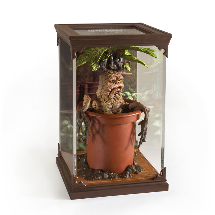 Product Harry Potter Magical Creatures Statue Mandrake image