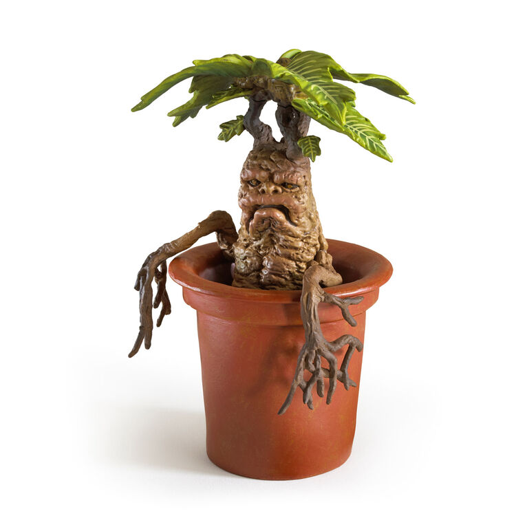 Product Harry Potter Magical Creatures Statue Mandrake image