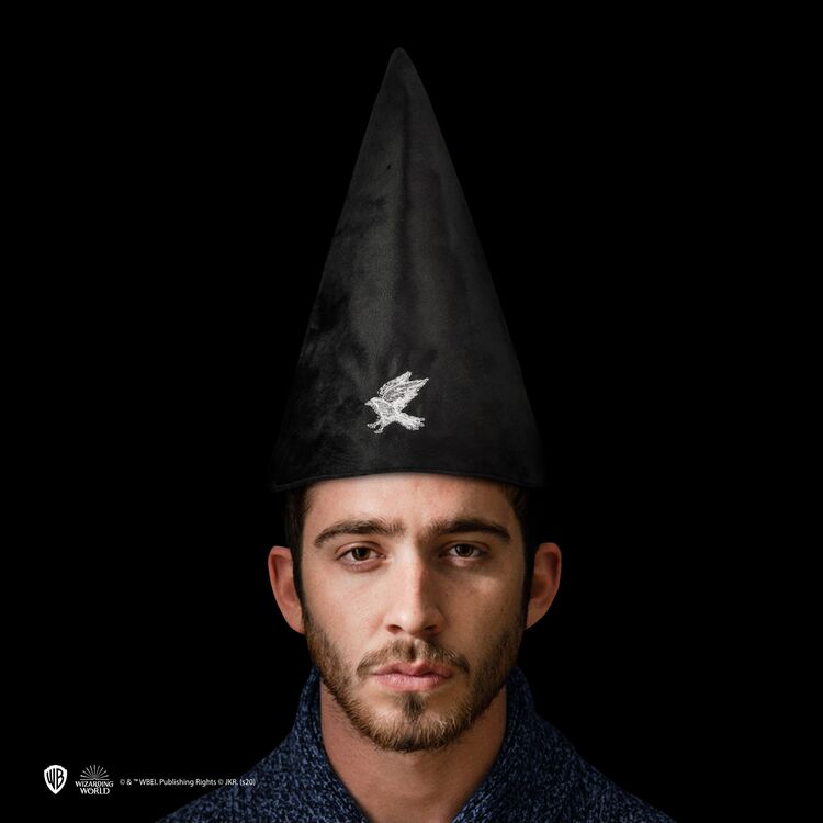 Product Καπέλο Harry Potter Student Hat Ravenclaw image