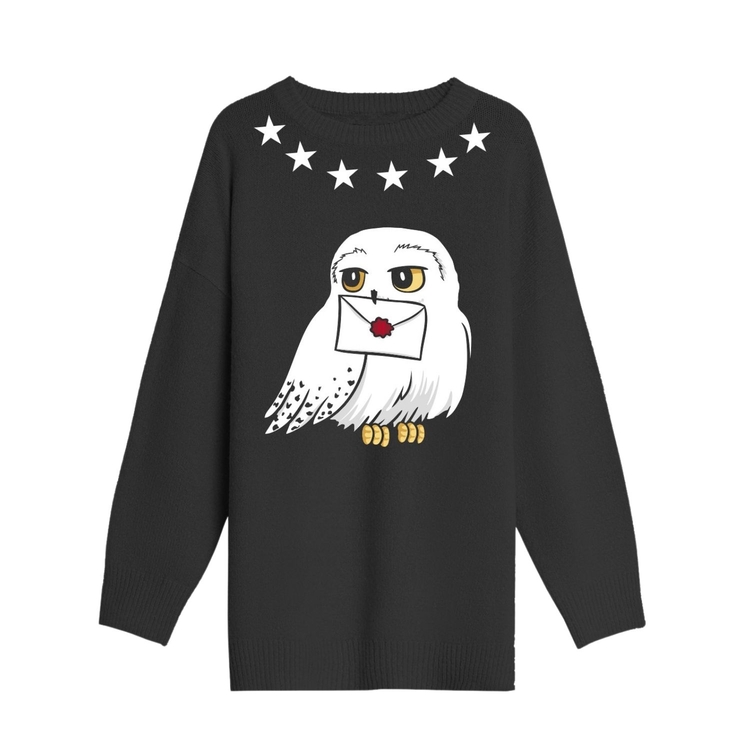 Product Harry Potter Long Sweater Hedwig image