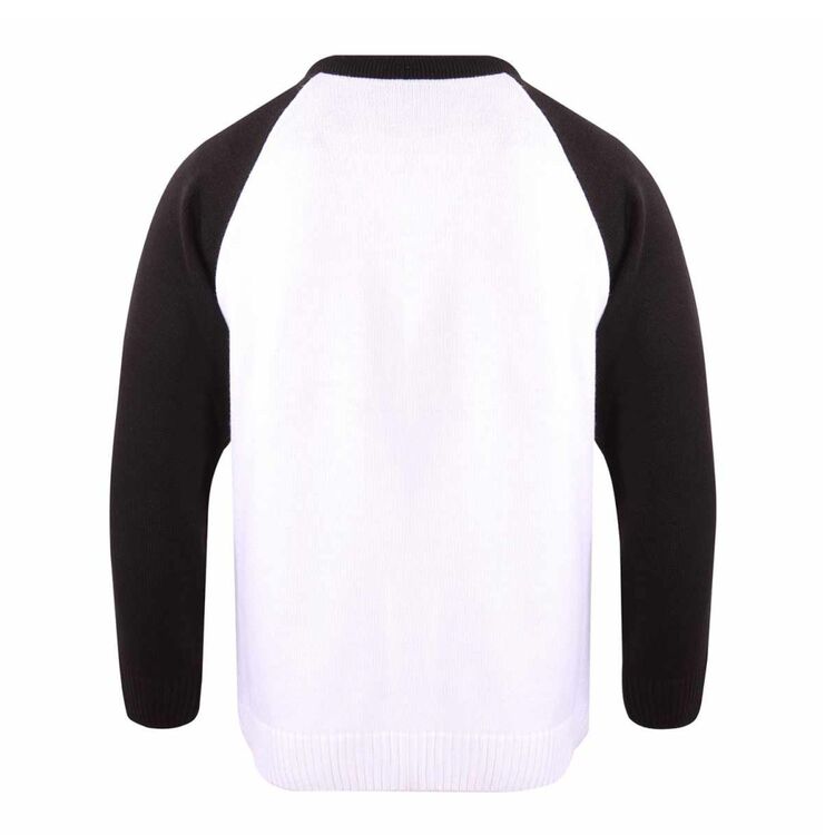 Product Πουλόβερ Stranger Things Hellfire Club (Knitted) image