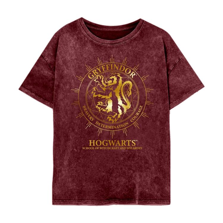Product Harry Potter Gryffindor Constellation T-shirt image