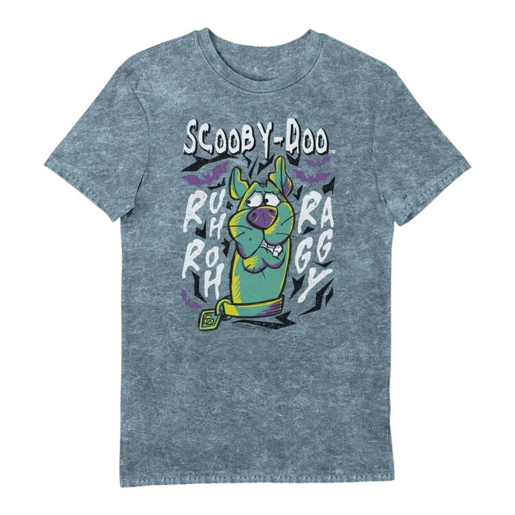 Product Scooby Doo Scoob T-shirt image