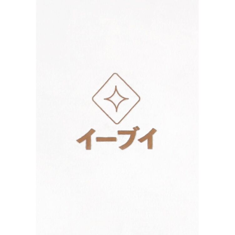 Product Pokemon Eevee (Loose Fit) Tshirt image