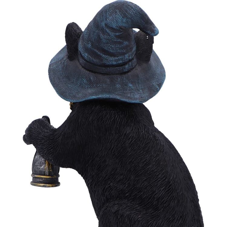 Product Nemesis Now: Familiar's Lantern (U7227C25) image