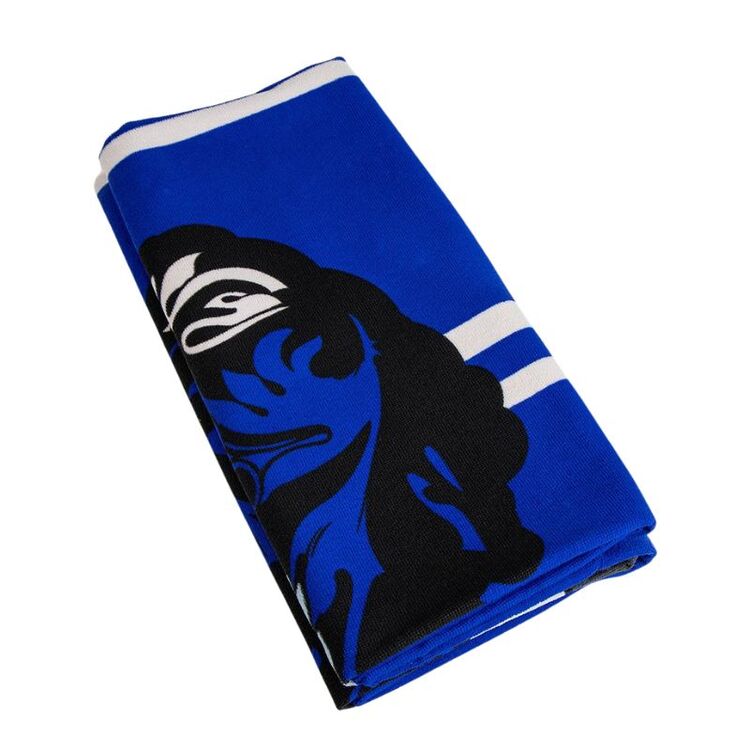 Product Πετσέτα Θαλάσσης Harry Potter Ravenclaw Polyester image