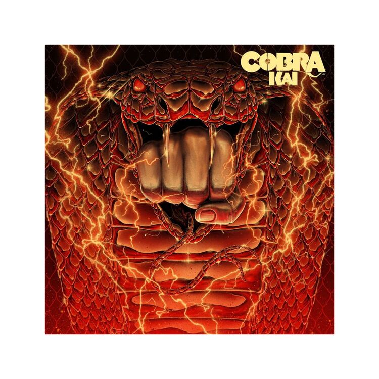 Product Cobra Kai Vinyl image