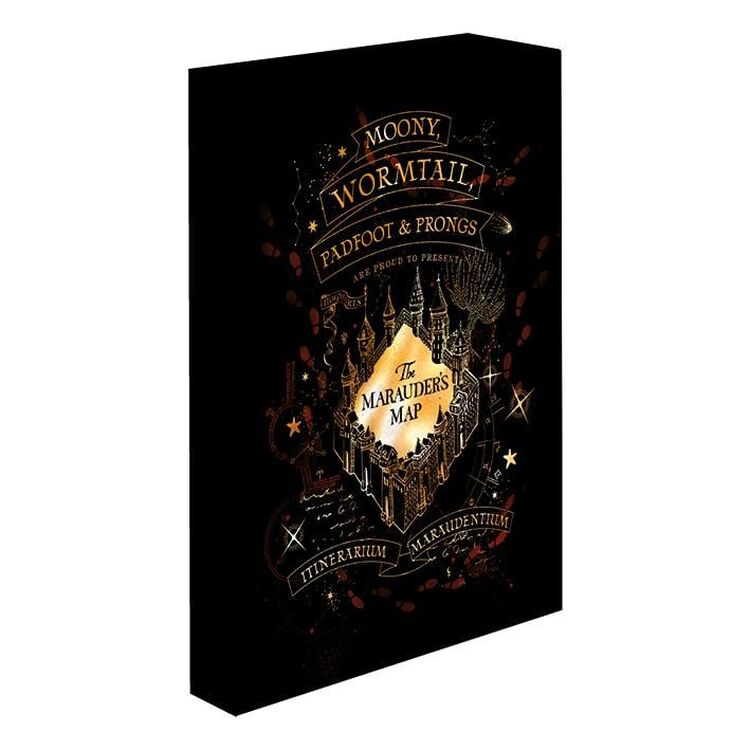 Product Καμβάς Harry Potter Marauders Map Light Canvas image